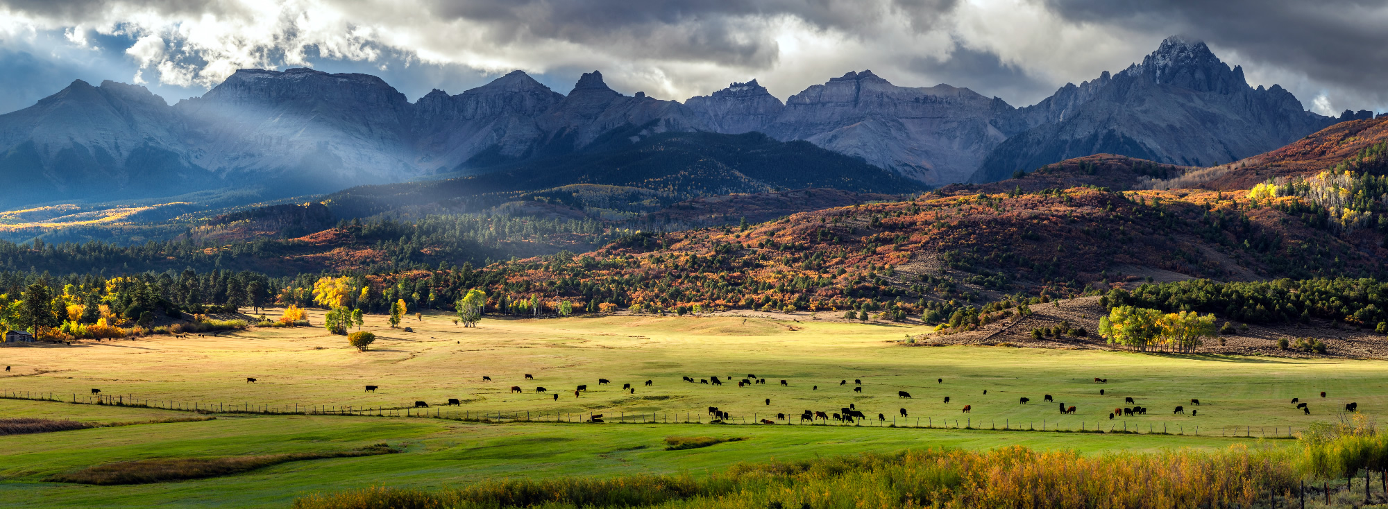Ouray County