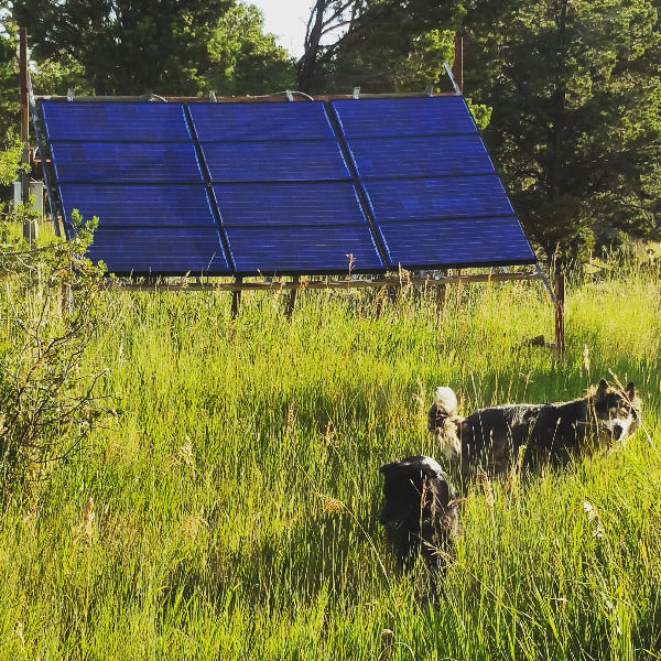 Lynn Padgett off grid